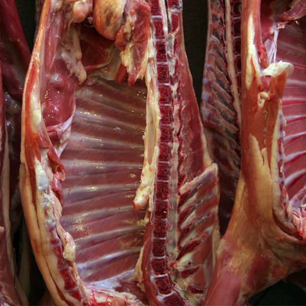 Buy Lamb Ribs - Amana Butchery Halal
