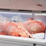 Buy Red Snapper Whole - Amana Butchery Halal
